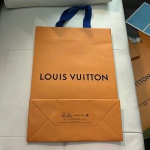 Large long bag ✨Louis Vuitton✨